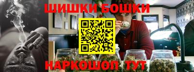 МДПВ Кингисепп