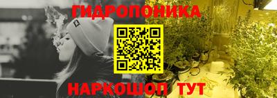 гашик Кимры