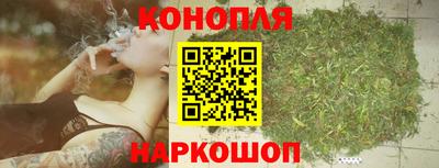 МДПВ Кингисепп