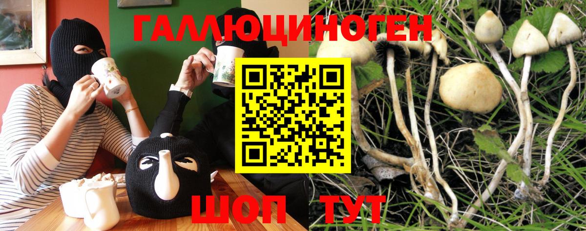 Псилоцибиновые грибы мицелий  Вход с VPN  Кыштым 